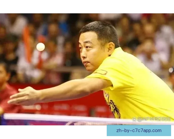 初学乒乓球：简单技巧与基本规则