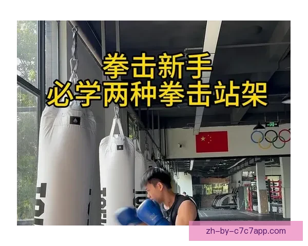 学习拳击技巧：实用教学视频全攻略