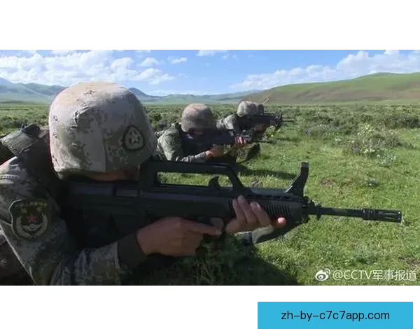 射击盘口分析：精准技巧与策略解析