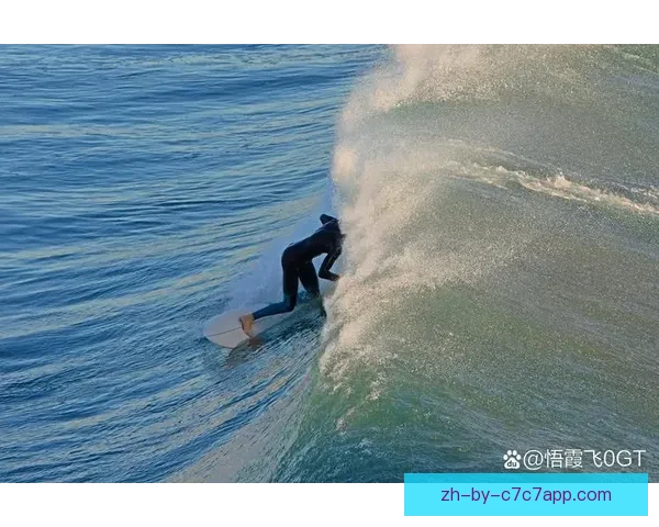 掀起海浪热潮：冲浪直播的魅力