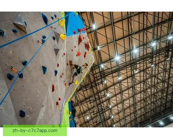 攀岩锦标赛：挑战高度，突破自我