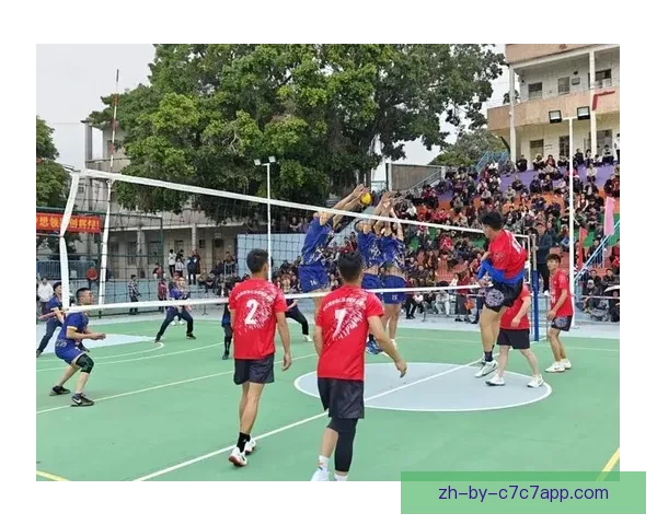 热情澎湃，激情纷飞体育场馆内排球直播现场