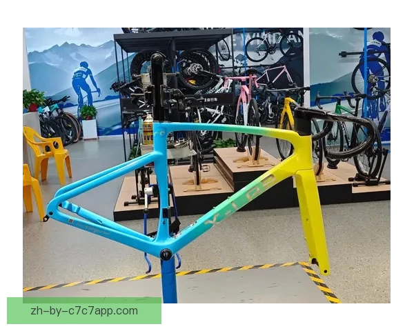 自行车数据启示录：揭秘骑行趋势与城市发展