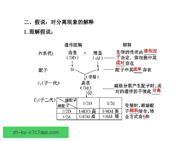 跆拳道盘口分析：技巧与策略精解