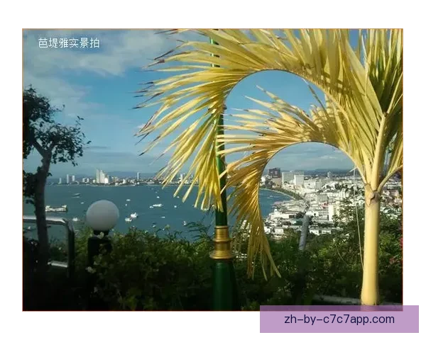 高尔夫联赛新闻速递：精彩对决即将开启